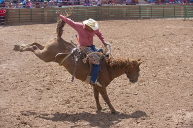 Gallup, Kızılderili rodeo