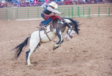 Gallup, Kızılderili rodeo