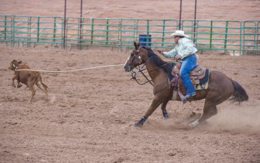Gallup, Kızılderili rodeo
