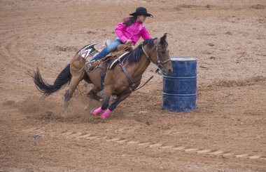 Reno Rodeo