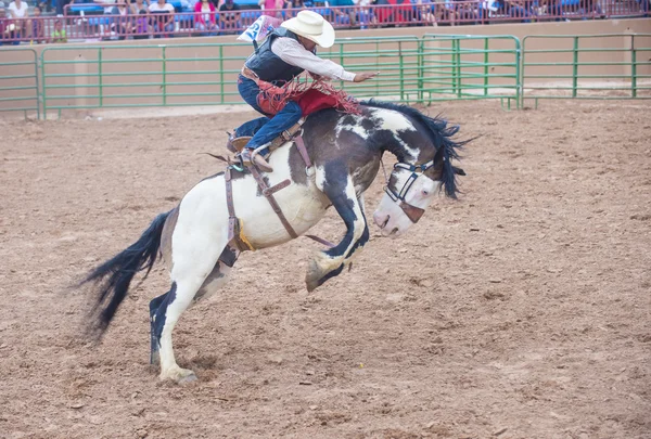 Gallup, indyjski rodeo — Zdjęcie stockowe