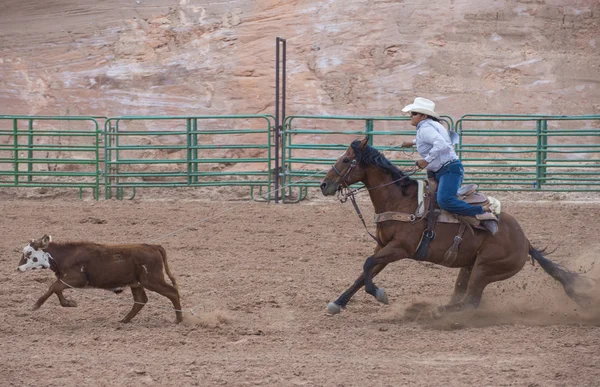 Gallup, indická rodeo — Stock fotografie