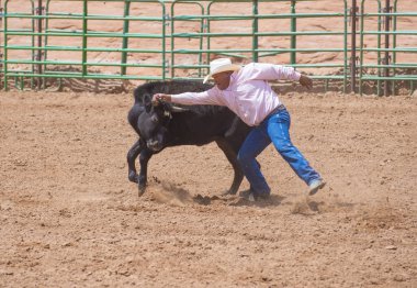 Gallup, Kızılderili rodeo