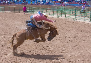 Gallup, Kızılderili rodeo