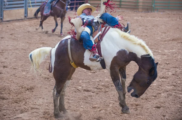 Gallup, indyjski rodeo — Zdjęcie stockowe