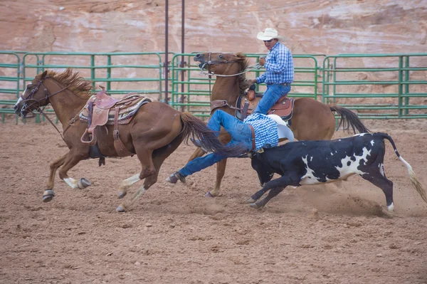 Gallup, indyjski rodeo — Zdjęcie stockowe