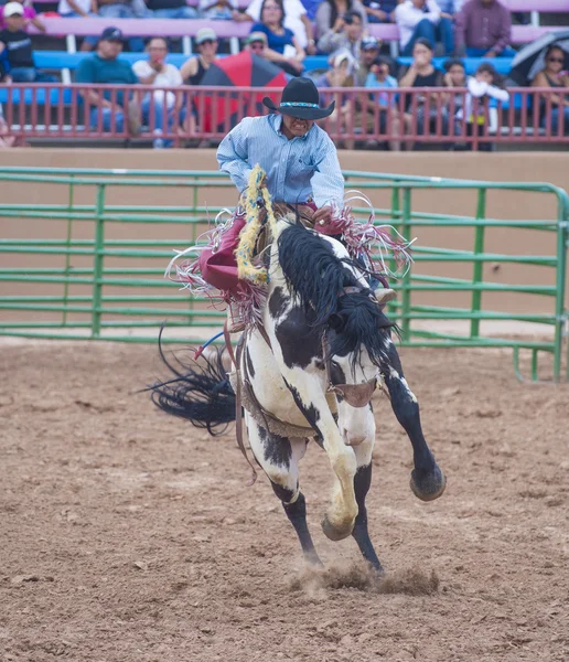 Gallup, indyjski rodeo — Zdjęcie stockowe