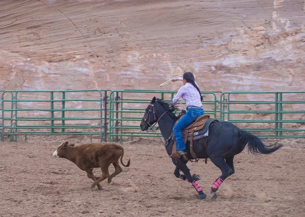 Gallup, rodeo indio — Foto de Stock