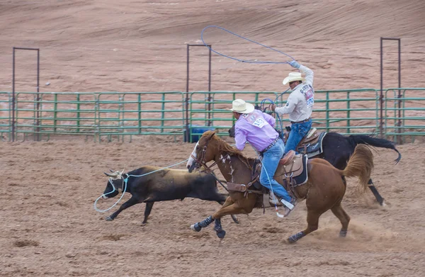 Gallup, indyjski rodeo — Zdjęcie stockowe