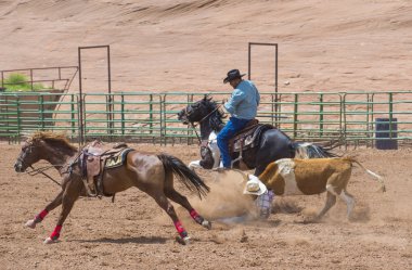 Gallup, Kızılderili rodeo