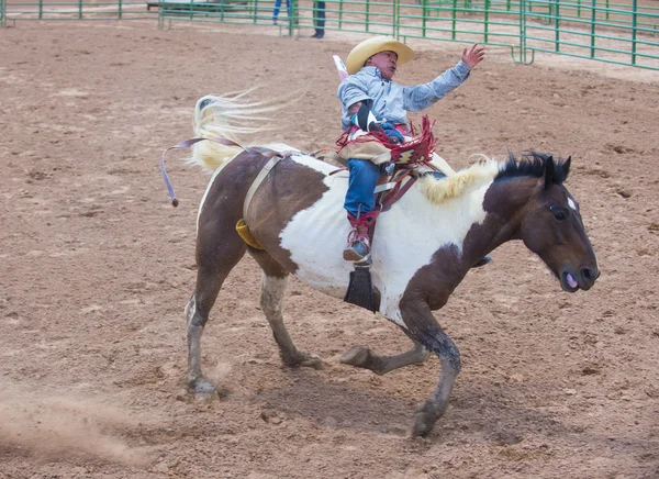 Gallup, Indian Rodeo — Stock Photo, Image