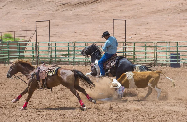 Gallup, indická rodeo — Stock fotografie