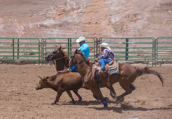 Gallup, indiska rodeo — Stockfoto