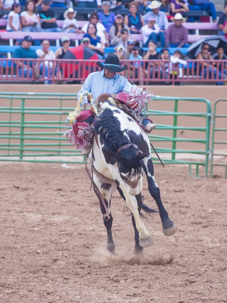 Gallup, intialainen rodeo — kuvapankkivalokuva