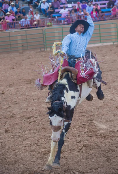 Gallup, Indian Rodeo — Stock Photo, Image