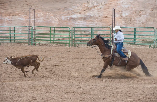 Gallup, indyjski rodeo — Zdjęcie stockowe