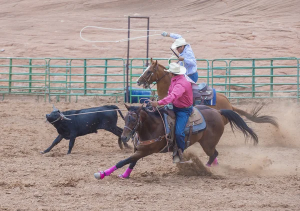 Gallup, indyjski rodeo — Zdjęcie stockowe