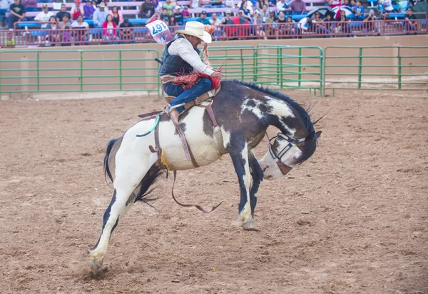 Gallup, indická rodeo — Stock fotografie