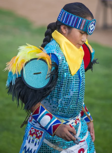 Native American — Stock Photo, Image