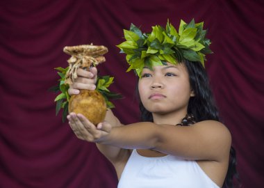 Ho'olaule'a Pacific Islands Festival clipart