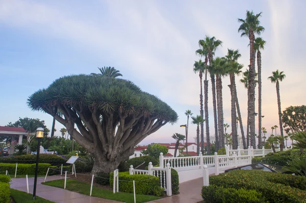 Hotel Del Coronado — Stok fotoğraf