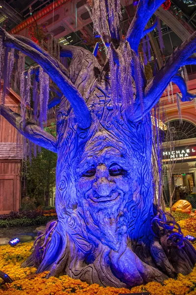 Bellagio Hotel Conservatorio y Jardines Botánicos — Foto de Stock