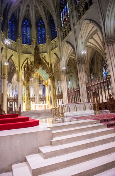 Pyhän Patrickin katedraali — kuvapankkivalokuva