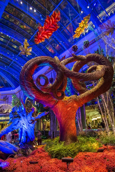 Bellagio Hotel Conservatory & Botanical Gardens — Stock Photo, Image