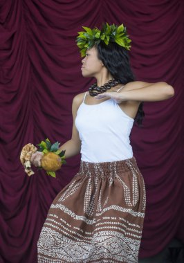 Ho'olaule' Pasifik Adaları Festivali