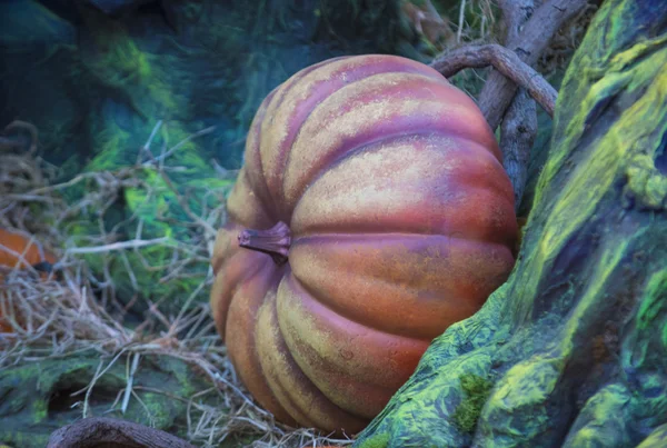 Pumpkins — Stock Photo, Image