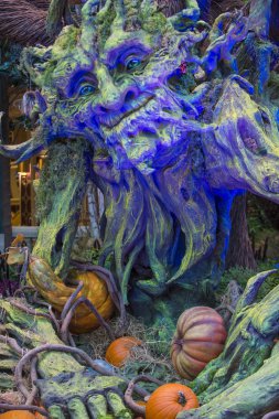Bellagio Hotel Konservatuarı ve Botanik Bahçeleri