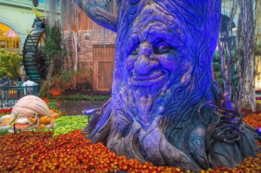 Bellagio Hotel Konservatuarı ve Botanik Bahçeleri