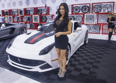 Sema otomobil 2013