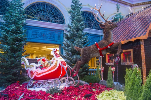 Bellagio Hotel Conservatory & Botanical Gardens — Stock Photo, Image