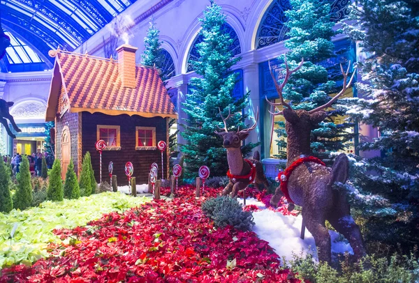 Bellagio Hotel Conservatory & Botanical Gardens — Stock Photo, Image