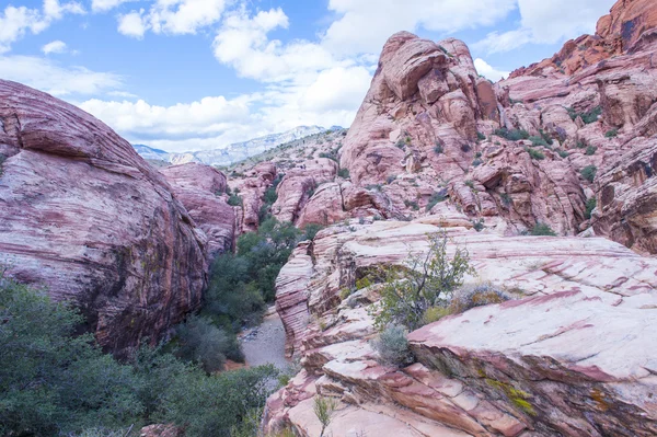 Kanionu Red rock, nevada. — Zdjęcie stockowe