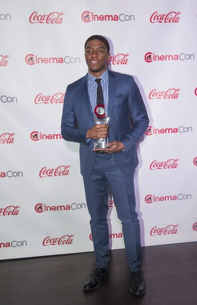 2014 年-cinemacon 的大屏幕成就奖 — 图库照片
