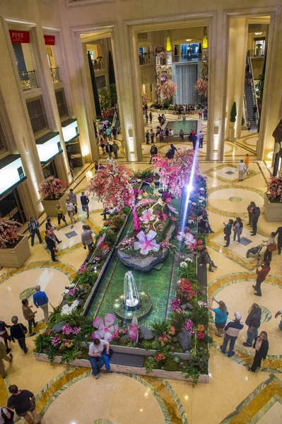 Las vegas — Foto de Stock