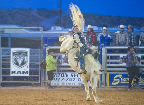 Το clark county fair και ροντέο — Φωτογραφία Αρχείου