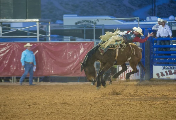 De clark county fair en rodeo — Stockfoto