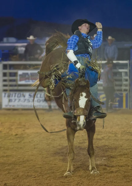 Clark county fair och rodeo — Stockfoto