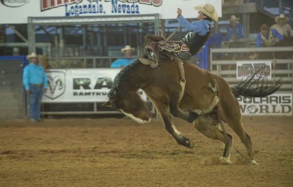 Clark county fair a rodeo — Stock fotografie