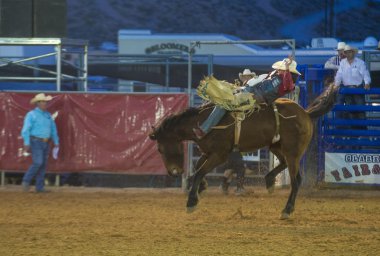 clark county Fuar ve rodeo