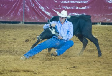 Clark county Fuar ve rodeo