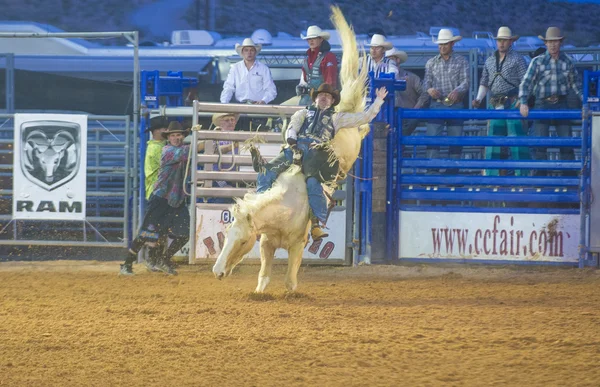 The Clark County Fair and Rodeo — Stock Photo, Image