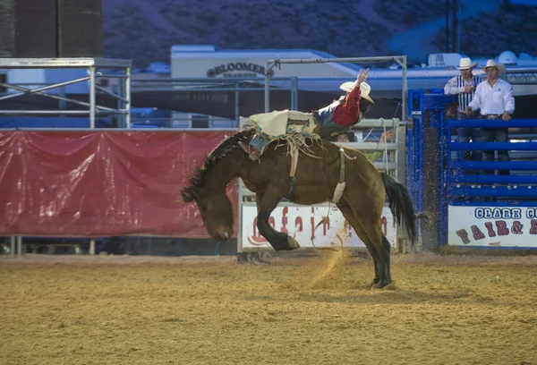 The Clark County Fair and Rodeo — Stock Photo, Image