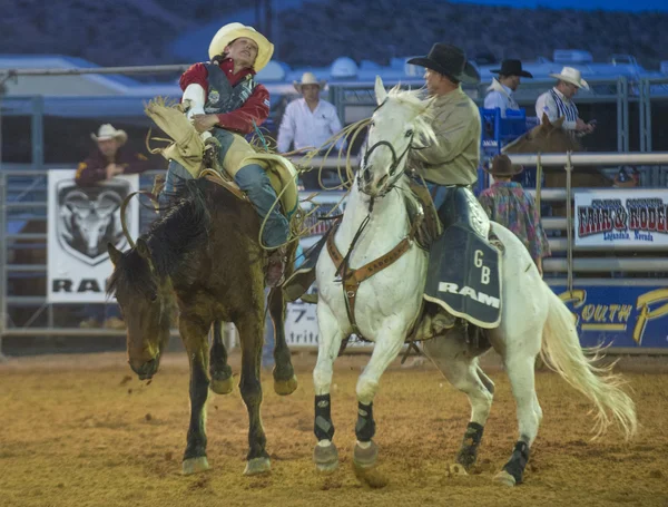 Το clark county fair και ροντέο — Φωτογραφία Αρχείου