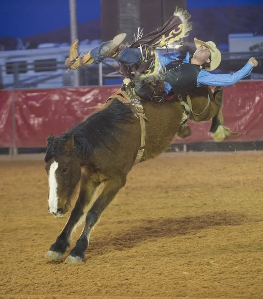 The Clark County Fair and Rodeo — Stock Photo, Image