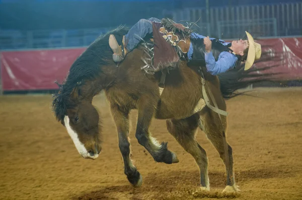 O Clark County Fair e Rodeo — Fotografia de Stock