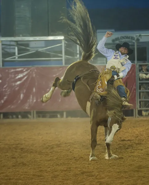 Το clark county fair και ροντέο — Φωτογραφία Αρχείου